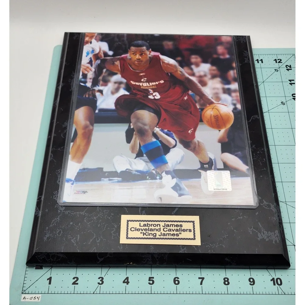 LABRON JAMES WALL PLAQUE KING‎ JAMES CLEVELAND CAVALIERS MARBLED FRAMED